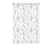 Gardinia Store Enrouleur Digiprint Chatons de Saule à Fixer, Store pour Lumière du Jour avec Impression, Opaque, Pièces de Montage Incluses, Blanc/Décoré, 70 x 150 cm (l x H) 23-1326
