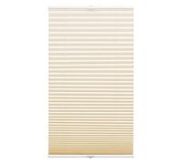 GARDINIA Store Plissé À Lumière Naturelle Concept, Opaque, Pièces de Montage Incluses, EASYFIX Renforcé Par Deux Profilés, Beige, 100 x 130 cm (LxH)