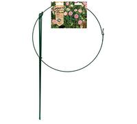 Gardman 07380 Tuteur Anneau Simple
