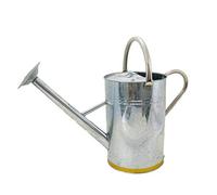 Gardman 34910 Arrosoir en Cuivre de 22 x 22 x 40 cm 9 L