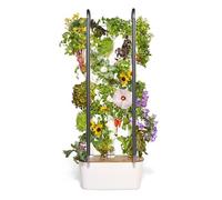 Gardyn Système de Culture hydroponique 4.0 et Pot de Jardin Vertical | Jardin Intelligent d'intérieur | Comprend 30 Plantes d'intérieur sans OGM, Herbes et légumes et lumières LED de Culture pour