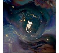 Vinyle Ori And The Will Of The Wisps DIVERS