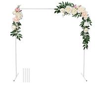 GARFANS Arche de mariage carrée de 2 m x 2 m en métal avec pieds de support, clous et arche de ballons, arche de jardin, cadre pour mariage, fête d'anniversaire, fête prénatale, fond photo, décoration