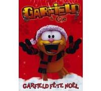 Garfield : garfield fête noël DVD E