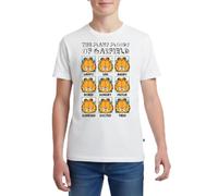 Garfield Les Nombreuses Humeurs De Garfield T Shirt Ado Premium