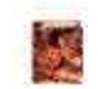 Gargantua François Rabelais (Auteur), Nicole Cazauran (Auteur)