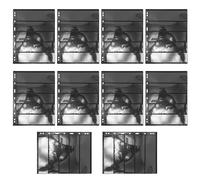 GARIOUANS 10 feuilles Pages pour Album de Timbres Artistiques Cinq Éléments pour Collectionneurs Pages de Classeur pour Timbres Monnaie Recharge Album de Collection avec Style Distinctif