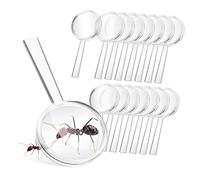 GARIOUANS 16 pièces Loupe de Lecture Portable pour Garçon Fille et Personnes Âgées Lot de Loupes Ergonomiques pour Exploration et Observation Détaillée