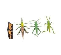 GARIOUANS 1ensemble Modèle De Croissance Miniature Jouet Éducatif Cycle De Vie des Insectes pour Découverte Pédagogique Et Cognition Scientifique