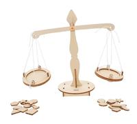 GARIOUANS 5 Pièces Kit d'expérimentation pour garçon Fille modèle de Balance à Levier DIY éducatif expérimentation STEM pour école à Domicile et projets scientifiques