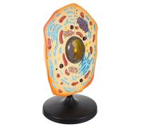 GARIOUANS Modèle Cellule Animale Anatomique pour Enseignement Maquette Animal Cellule avec Détails Réalistes Outil Pédagogique pour Collégiens et Formation