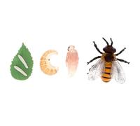 GARIOUANS Modèle Éducatif Cycle de Vie de Petites Crevettes pour Tout Petits de Simulation et Kit Dapprentissage pour Garçon Fille Nature Insectes Cadeau pour Anniversaire et Fête