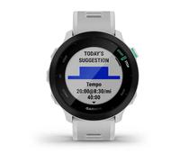 Garmin Montre Forerunner 55 Argenté