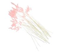 Garneck 120pièces Fleurs Séchées De Queue De Lapin Naturelles pour Décoration Herbe Tête De Lapin pour Arrangements Floraux Décor De Chambre Et Mariage