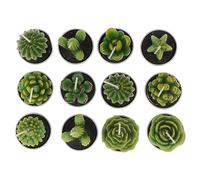 Garneck 12pièces Bougies Décoratives Forme De Plantes Succulentes Bougies Chauffe-plat Végétales Pour Chambre Fête Mariage Photophores Métal