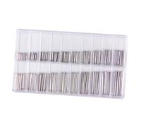 Garneck 300 pièces Boîte de Goupilles de Montre Acier Inoxydable Professionnelles Résistantes à Lusure Axes de pour Bracelets de Montre Accessoires de Réparation Durables