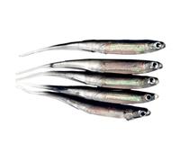 Garneck 5 Pièces Leurre de Silicone Forme de Poisson Appâts Réalistes Noirs Résistants et Souples Kit Leurres Doux pour Truite Brochet et Carpe Accessoires de Outdoor