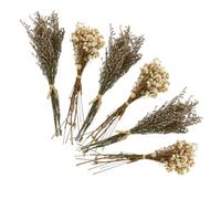 Garneck 6 pièces Lot de Bouquets de Fleurs Séchées Naturelles Gypsophile Décoratives pour Maison Couleur Vive Entretien sans Eau Centre de Table et Décoration Intérieure Couleur Aléatoire