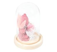 Garneck Décoration de Fleurs Immortelles en Verre Ours Fleur Préservée Compacte et Légère Présent Saint-Valentin et Fête des Enseignants Ornement Décoratif de Bureau Élégante