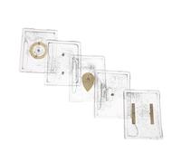 Garneck Ensemble de 5 Démonstrateurs de Champ Électrostatique en Plastique et Fer pour Laboratoire de Physique, Résultats Fiables et Répétables, Enrichissement du Programme