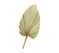 Garneck Feuille de Palmier Fraîchement Séchée Naturelle Vert Olive, Décoration Murale ’Arche de Mariage, Arrangement Floral Sec pour Salon, Table à Manger, Chambre et Événements