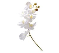 Garneck Fleurs Artificielles Phalaenopsis Blanches Branche Décorative Réaliste en Plastique et Soie Tige en Fil de Fer, Finition Soignée, pour Jardin et Banquet
