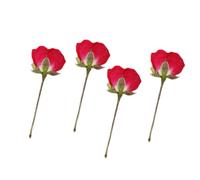 Garneck Fleurs Séchées 12 Boutons de Roses Naturelles pour Créations Manucure, Cadres Photo et Décoration de Coque Téléphone Maison