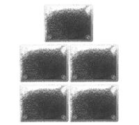 Garneck Lot de 5 Sachets de Limaille de Fer pour Expérience Magnétique Dispositif Pédagogique de Physique pour Classe Matériel Éducatif Magnétique pour Démonstration du Champ