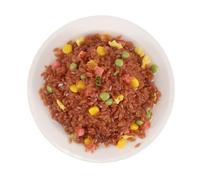 Garneck Modèle Réaliste de Riz Frit en Plastique Cuisine à Domicile, Jouet Alimentaire Polyvalent Facile à Utiliser Apparence Authentique