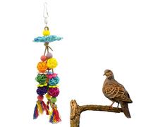 Garneck Mordre pour Perroquet 2pcs Balançoire Balle en Rotin pour Perruches et Cockatiels, Exercice et Exploration, Accessoire Plastique Suspendu pour Cage