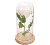 Garneck Rose Éternelle sous Cloche en Verre Base en Bois Clair Décoration Intérieure Saint-Valentin Ornement Floral Préservé Blanc Présent Romantique pour Maison et Bureau Fleur