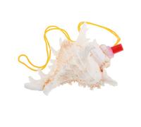 Garneck Sifflet Coquillage De Conque Naturelle Corne Décorative Et Instrument De Souffle Pour Jouet Musical Unique Pour Décoration Bord De Mer Et Amusement