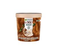 Garnier Coloration Permanente Sans Ammoniaque Beurre de Karité Cuivré Épicé 7.43 - 120 g