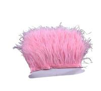 Garniture à franges en plumes, Garniture à franges en plumes | Frange multicolore de 8 à 10 cm, plusieurs longueurs : artisanat, décoration de costume.(Color 1,2meter 8-10cm)