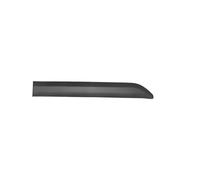 Garniture de panneau de moulage de porte coulissante arrière gauche compatible avec Expert, Vivaro, Spacetourer, Proace, Jumpy, Dispatch 980874931T (monté, arrière gauche) MWB LWB