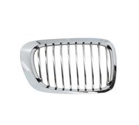 BLIC 6502-07-0061996PP Grille de calandre