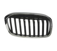 BLIC 6502-07-0071992P Grille de calandre