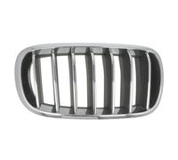 Garniture de phare BLIC 6502-07-00969944P droite