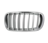 Garniture de phare BLIC 6502-07-00969955P gauche