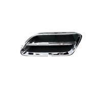 BLIC 6502-07-1668991P Grille de calandre
