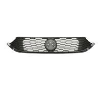 BLIC 6502-07-2030990P Grille de calandre