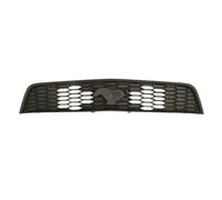 Grille de radiateur BLIC 6502-07-2585992P