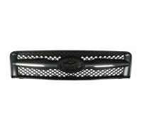 BLIC 6502-07-3175990P Grille de calandre