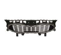 BLIC 6502-07-3268991P Grille de calandre