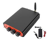 Garosa Amplificateur Numérique HiFi Stéréo Double Canal, Puce DSP TPA3255