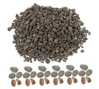 GAROZATION Galets Décoratifs Naturels pour Aquarium Pierres de Rivière Réalistes pour Décoration Bassin Jardin Aménagement Microlandscape Paquet