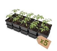 Garronda Lot de 5 Kit de Semis Plateau 10 Trous avec Godets - Plateau de Semis Plastique PP Réutilisable Serre Jardin Intérieur Extérieur Horticulture Repiquage Culture Plantation GD-0208 Noir