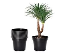 Garronda Pots Horticulture Ronds Pots pour Culture de Plants de Plantes et Fleurs GD-0025 (10 Pièces Noir, ⌀ 45cm H=33,5cm)