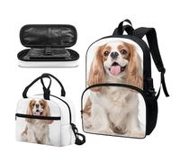Garronmavis Galaxy Butterfly Lot de 3 sacs à dos isolants pour jeunes, motif requin funky 43,2 cm, sac à crayons multicouche pour jeunes, Cavalier King Charles., Ensemble cartable