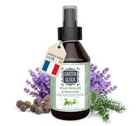 Garten Glück® Spray Lustrant Plantes Vertes Intérieur et Extérieur - 250ml - Anti Taches Foliaires